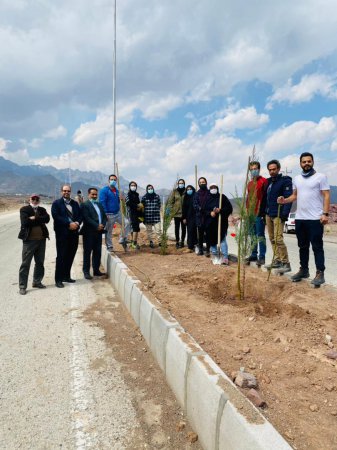 به مناسبت روز درختکاری ۴۰ اصله نهال سرو توسط هیئت ورزش روستایی شهرستان نطنز غرس شد