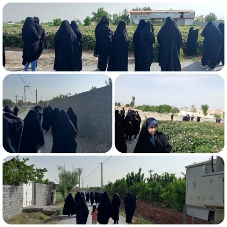 برگزاری پیاده‌روی بانوان روستای بندارت به مناسبت دهه کرامت