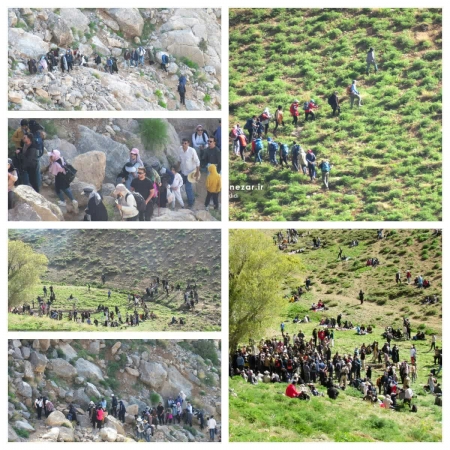 همایش کوهگشت خانوادگی تسیخه در فریدونشهر